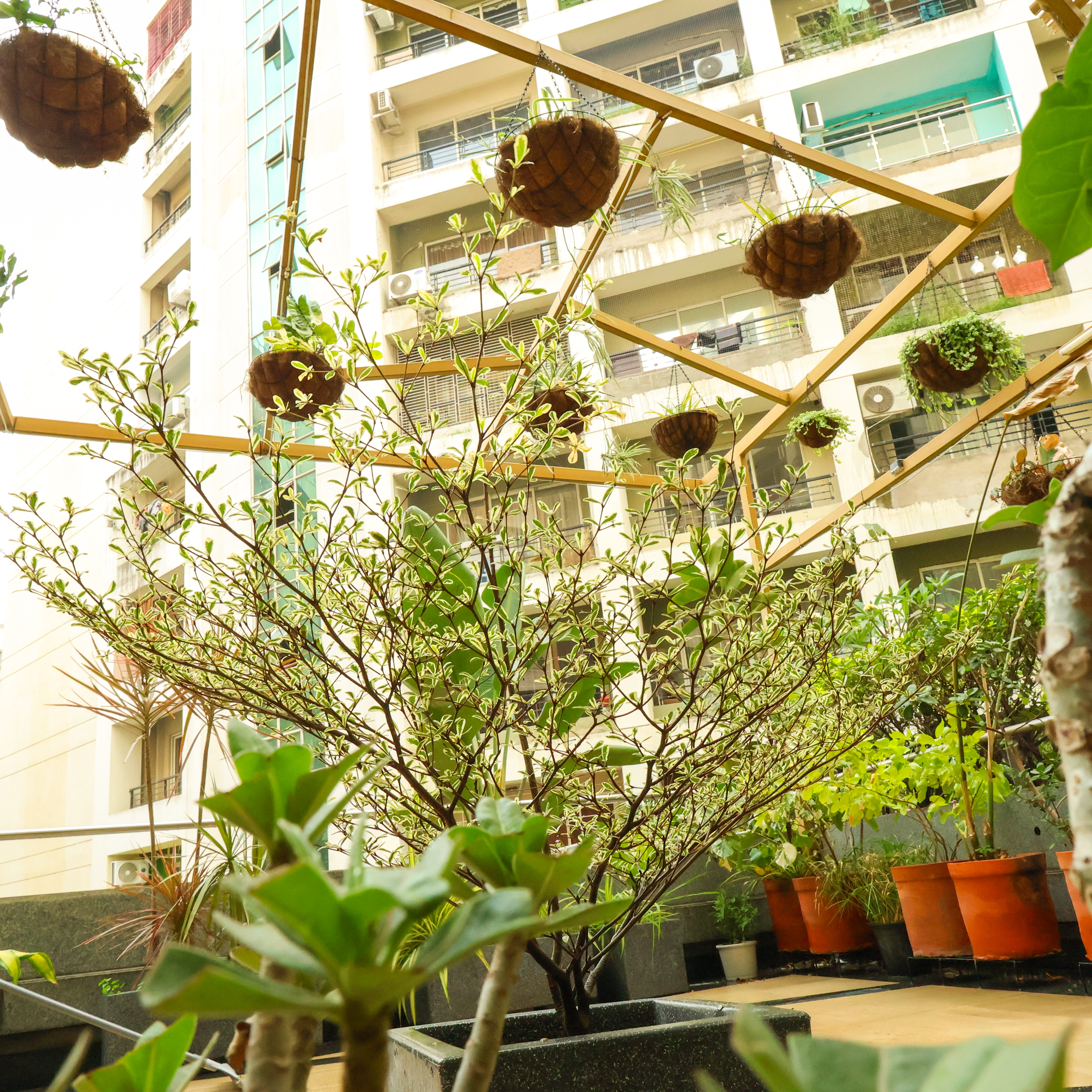 Indoor plant installation