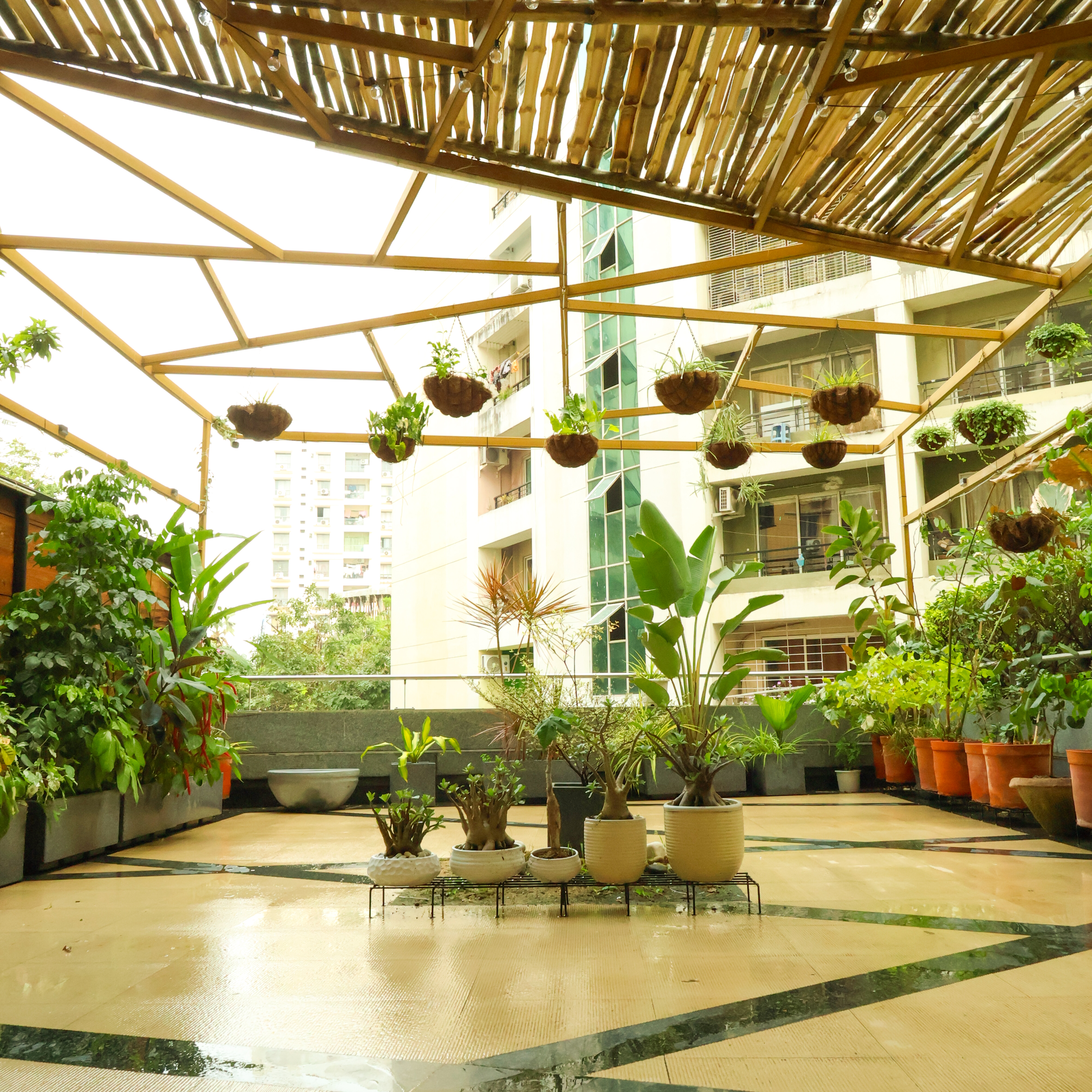 Terrace garden by Plantism